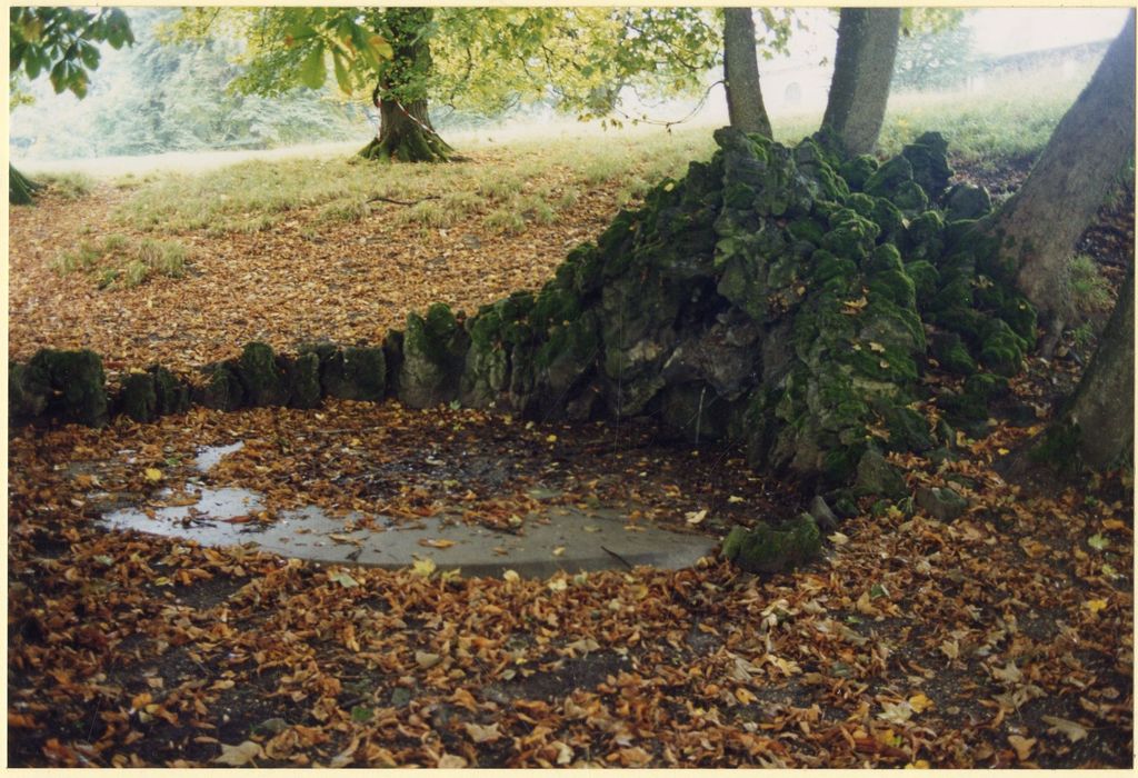 parc, rocaille