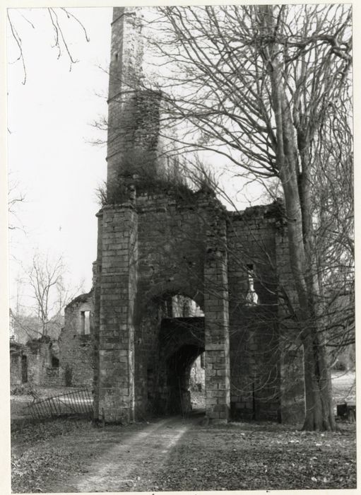 vue partielle des vestiges du châtelet