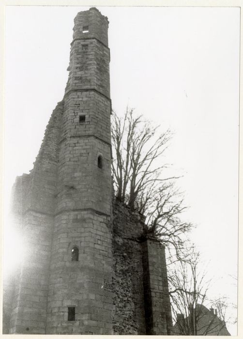 vue partielle des vestiges du châtelet