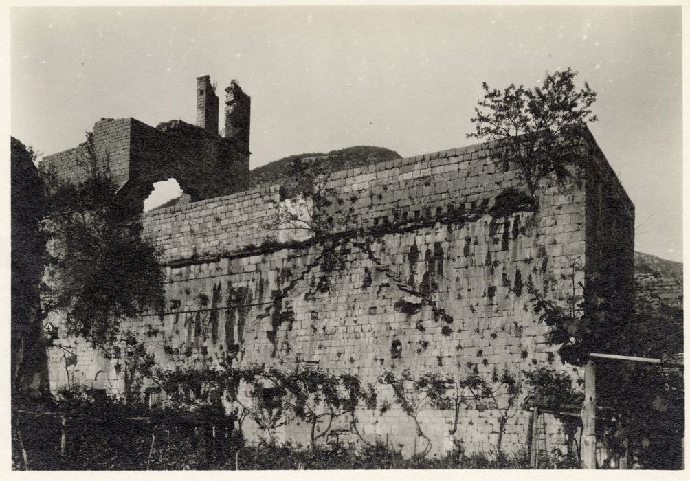 vue générale des vestiges, élévation ouest