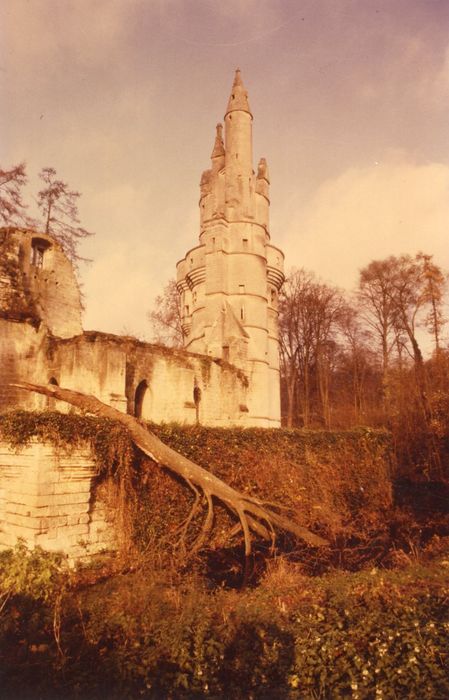 vue générale du donjon depuis le Sud-Ouest