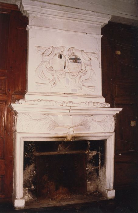 grande salle du 1er étage, cheminée