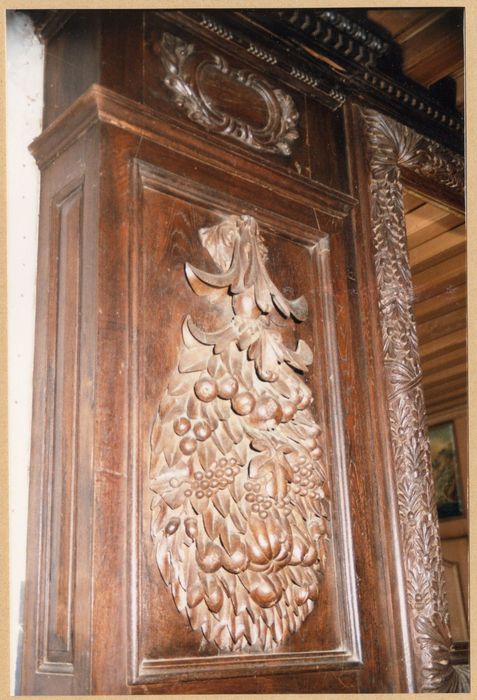rez-de-chaussée, cheminée, détail des lambris