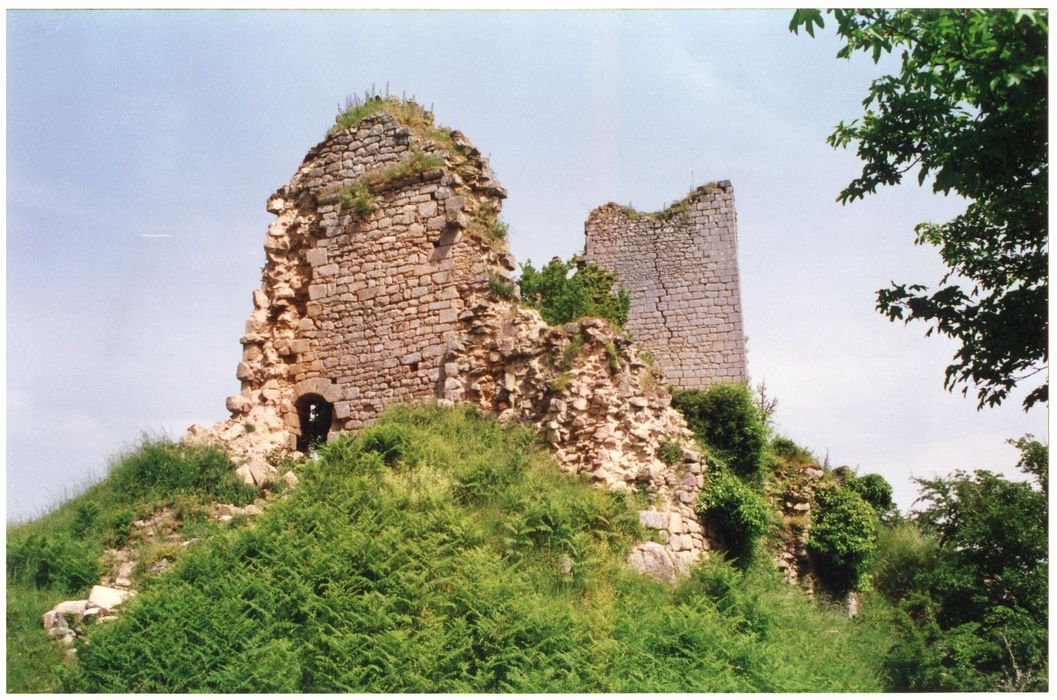 vue partielle des vestiges avec le donjon à l’arrière plan