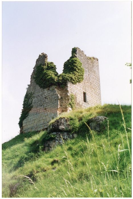 donjon, élévations sud et ouest
