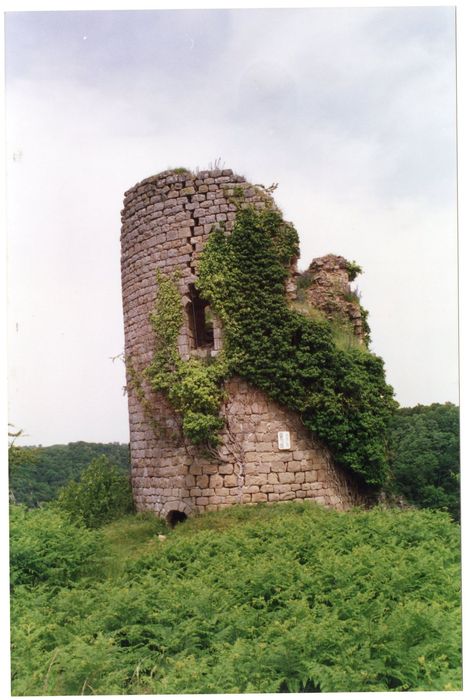 tour du Renard, élévation sud-est