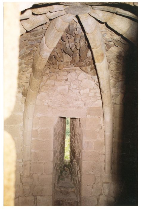 tour du Renard, salle du rez-de-chaussée, vue partielle de la voûte