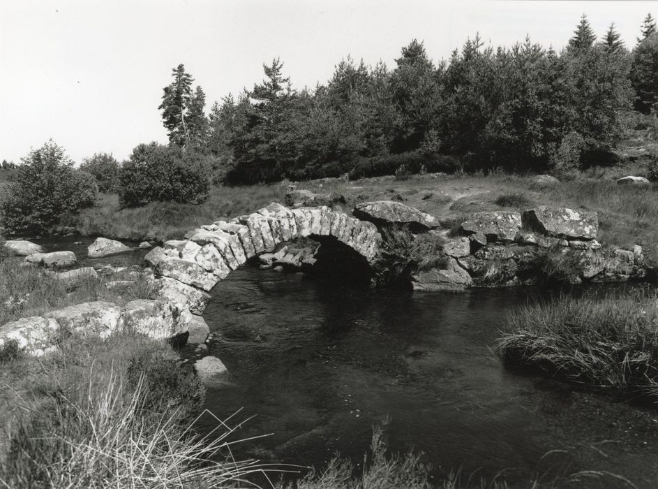 vue générale du pont dans son environnement