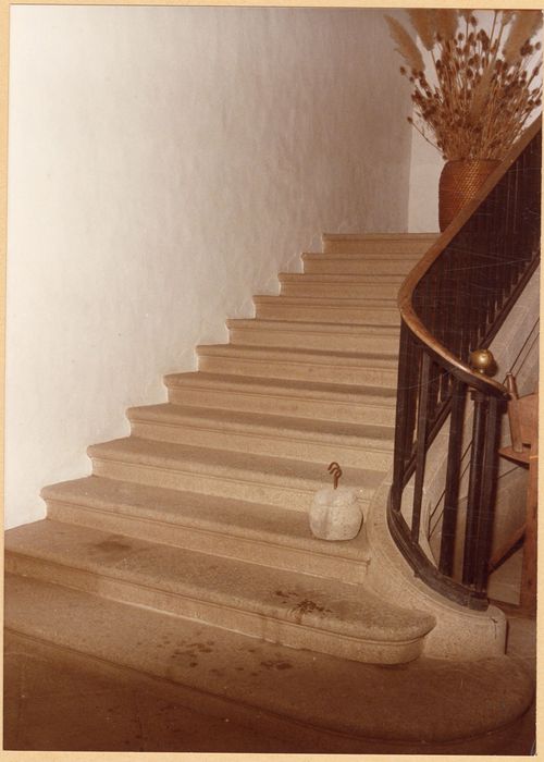 rez-de-chaussée, vestibule d’entrée, escalier monumental, vue partielle