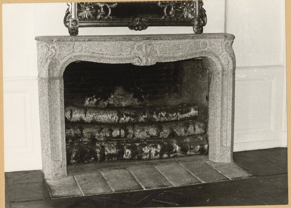 rez-de-chaussée, grand salon, cheminée