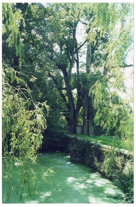 ancienne pêcherie