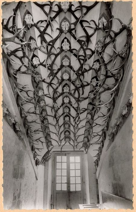 grand escalier, voûte de la 1ère volée