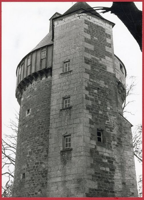 donjon, élévation nord-est, vue partielle