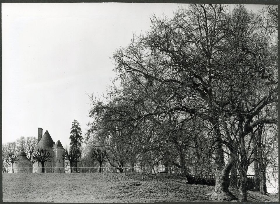 vue générale du donjon et du colombier dans leur environnement depuis le Nord-Ouest