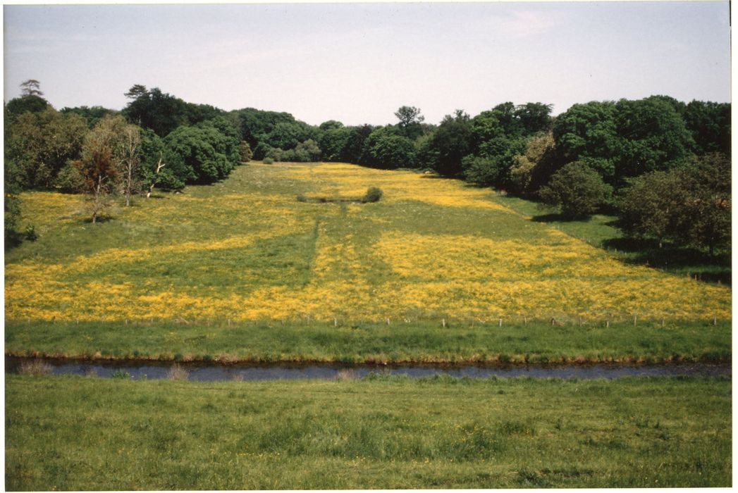 parc, grande perspective est