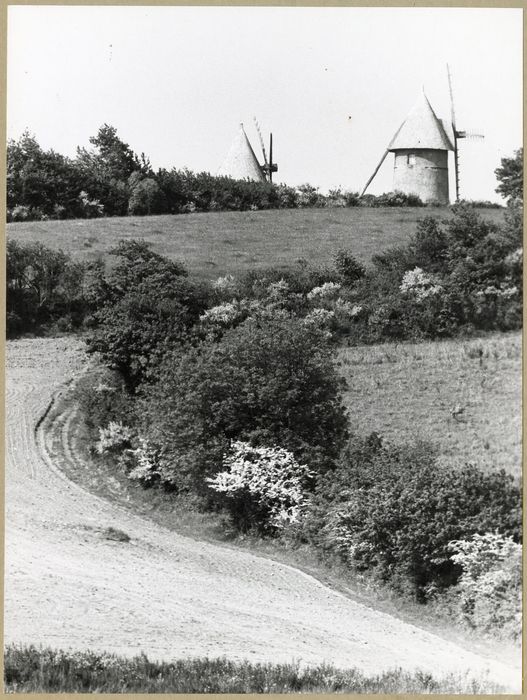 vue générale d’un des moulins dans son environnement