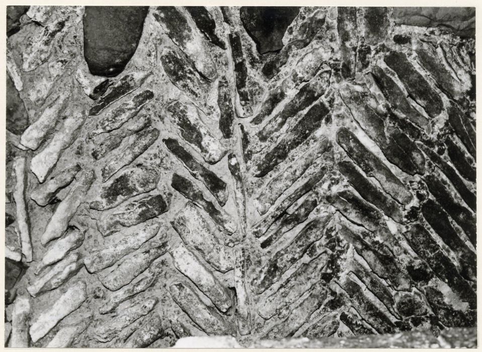 escalier nord, détail de la maçonnerie roman (opus spicatum)