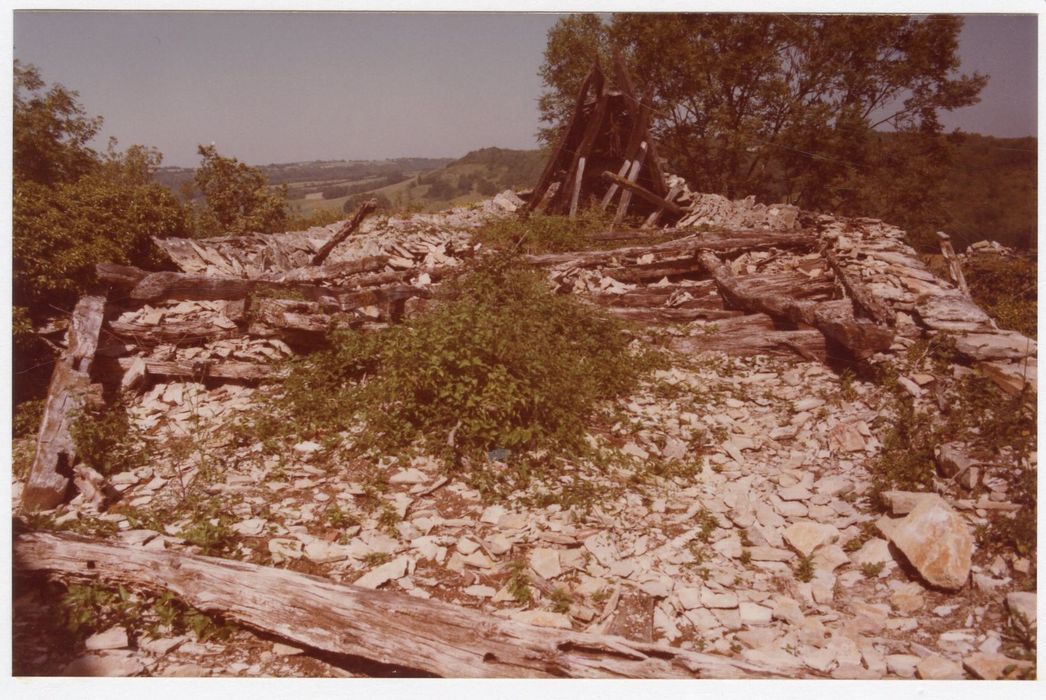 vestiges de la toiture