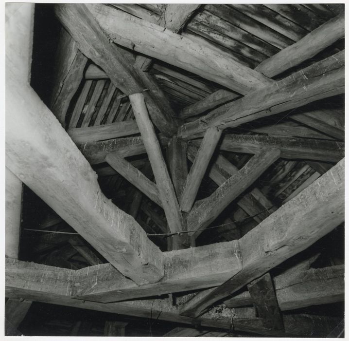 tour pigeonnier, vue partielle de la charpente