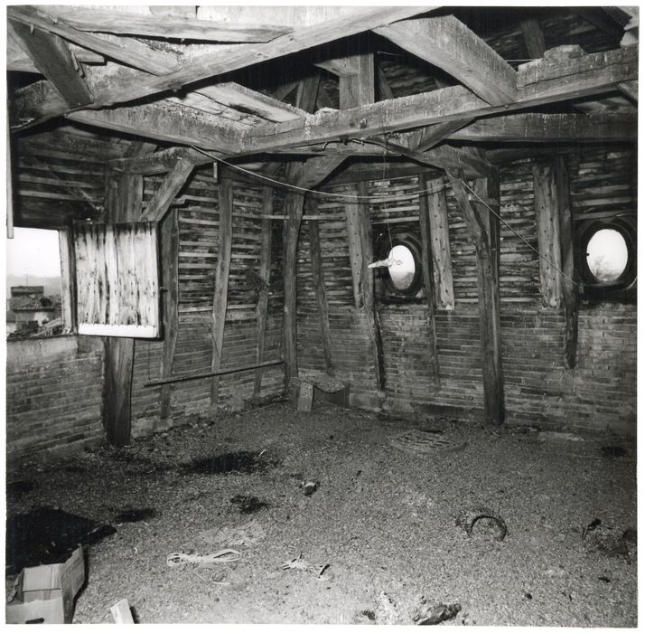 tour pigeonnier, vue partielle de la charpente