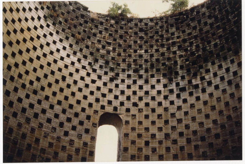 colombier, vue partielle des trous de boulins