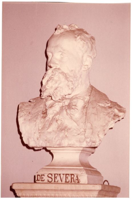 buste : Homme barbu