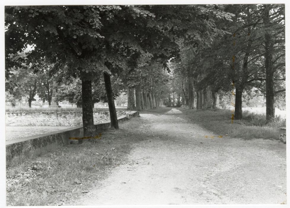 parc, allée cavalière