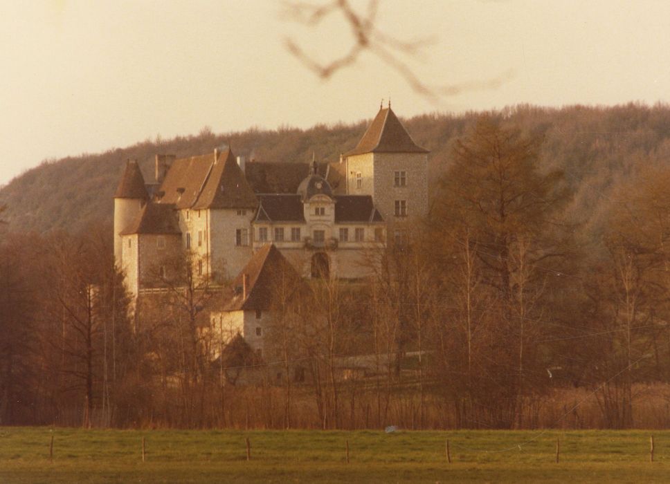 vue générale du château dans son environnement depuis le Sud