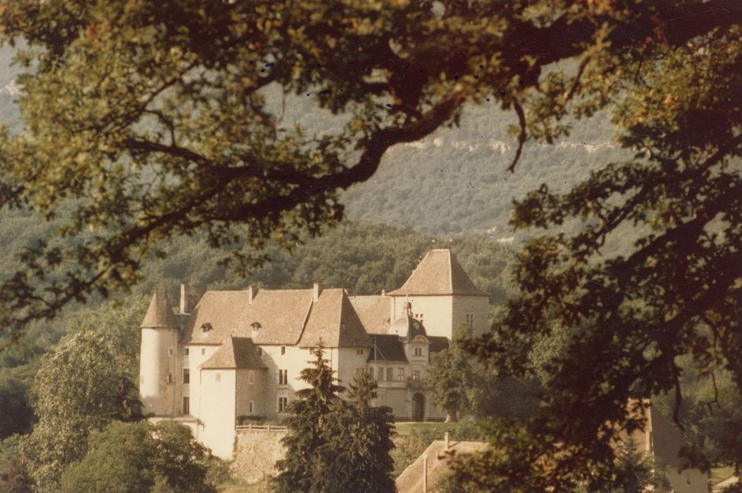 vue générale du château dans son environnement depuis le Sud-Ouest