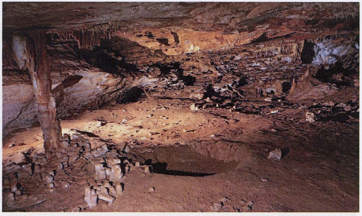 salle des Fistuleuses avec bauges d’ours