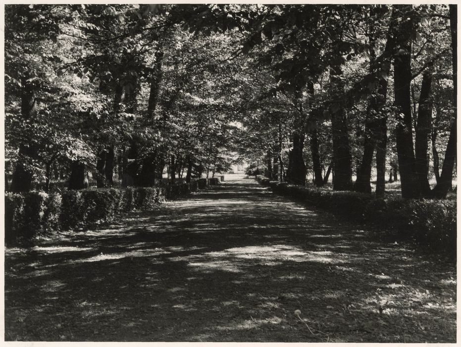 parc, grande allée sud-nord