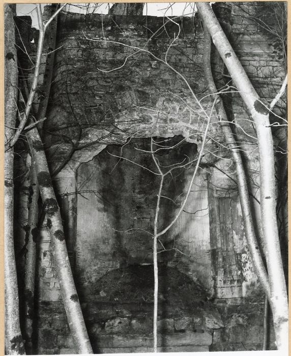 cheminée monumentale