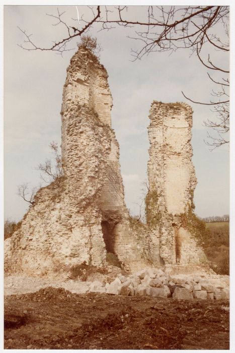 vue partielle des ruines