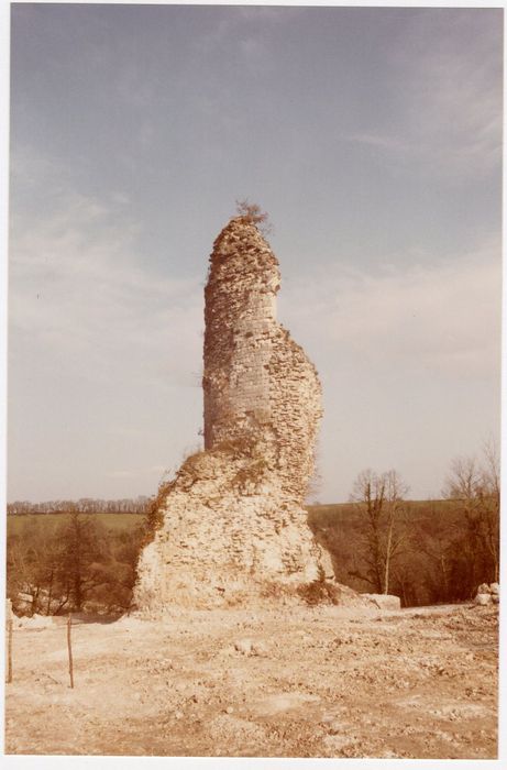 vue partielle des ruines
