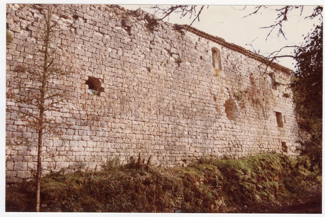 vue partielle des ruines, mur d’enceinte à l’ouest