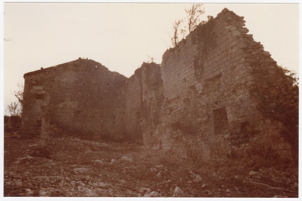 vue partielle des ruines, mur d’enceinte à l’ouest