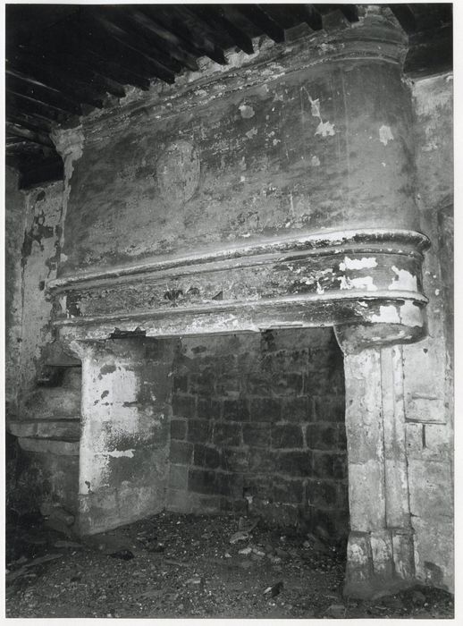 2e étage, grande salle, cheminée monumentale