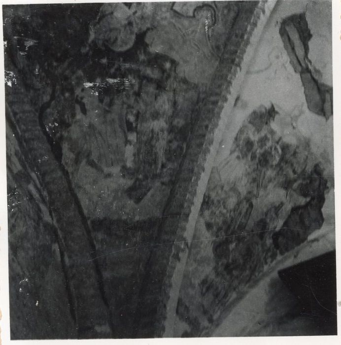 peintures monumentales de la voûte, vue partielle