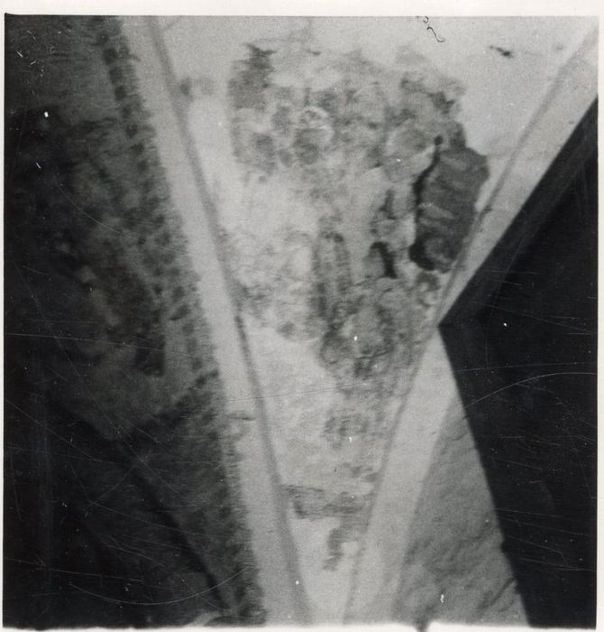 peintures monumentales de la voûte, vue partielle