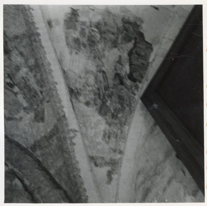 peintures monumentales de la voûte, vue partielle