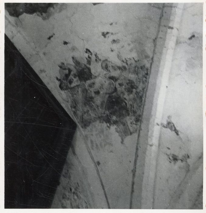 peintures monumentales de la voûte, vue partielle