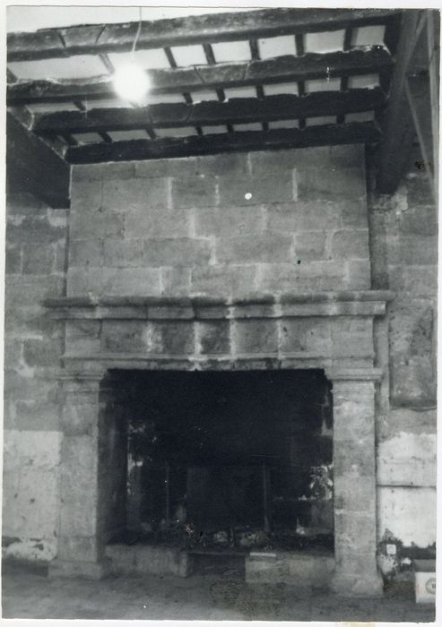 rez-de-chaussée, cuisine, cheminée monumentale