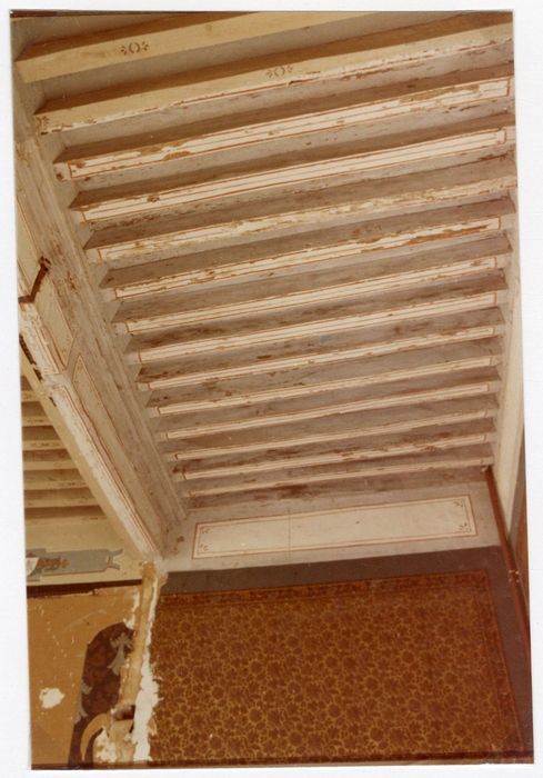 1er étage, grande salle, vue partielle du plafond