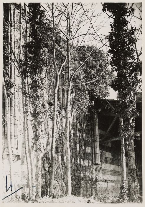 ruines de l’église abbatiale, vue partielle