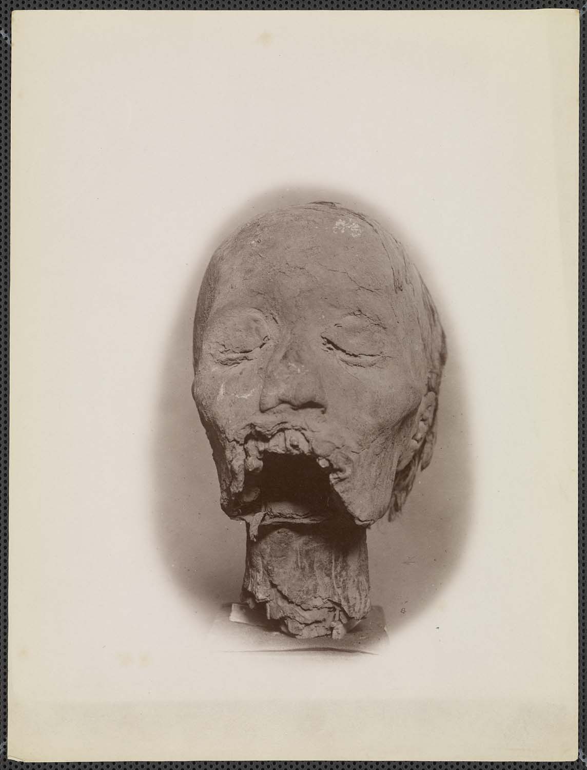 Tête d'une momie attribuée à Mérenrê 1er (Métésouphis), fils de Pépi 1er, 6e dynastie, découverte à Saqqarah dans sa pyramide