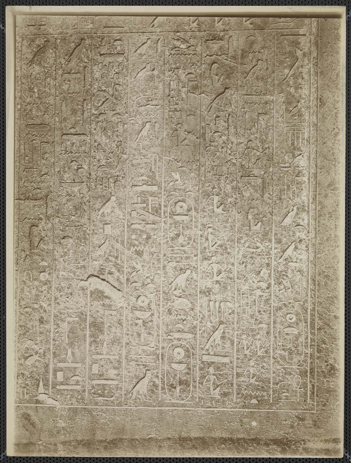 Détail de la stèle de Sesostris III, en granit rose, 12e dynastie, découverte par Naville dans le temple de Montouhotep II à Deir el-Bahari