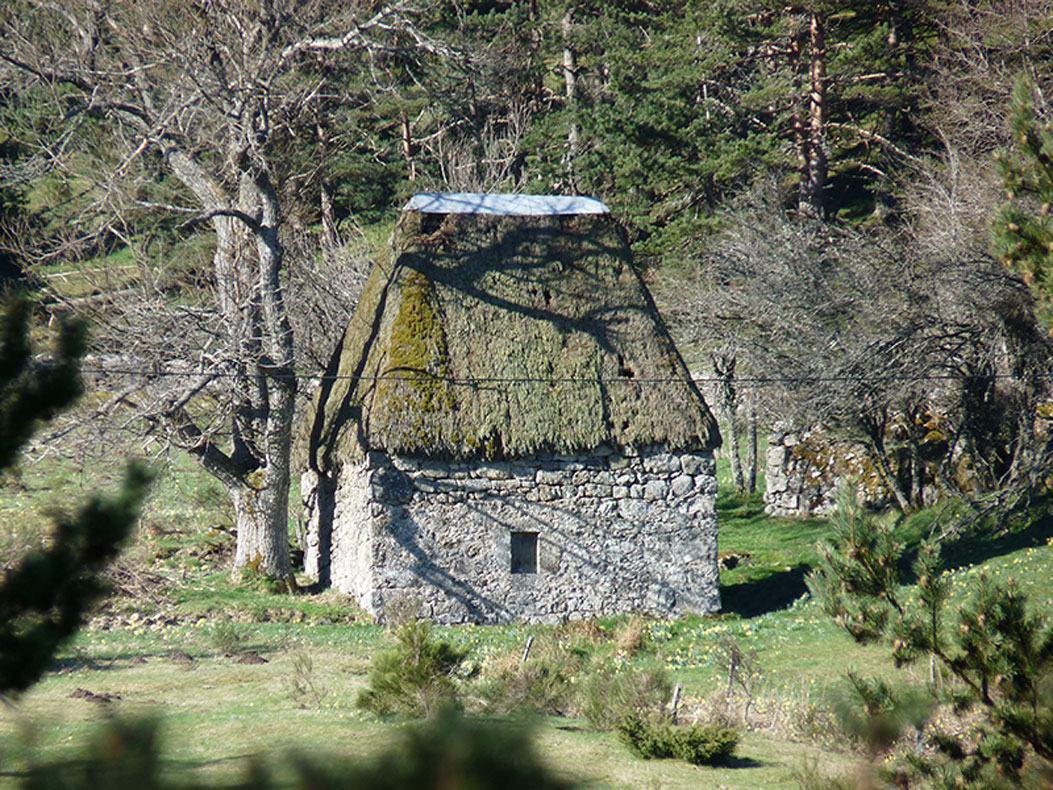 vue générale du moulin dans son environnement