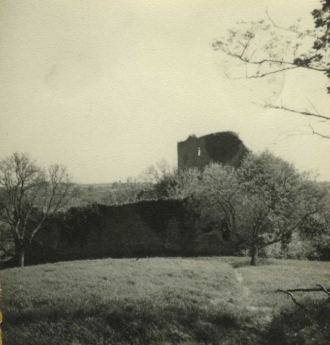 Château de Mantailles (ruines) : Vue générale du site