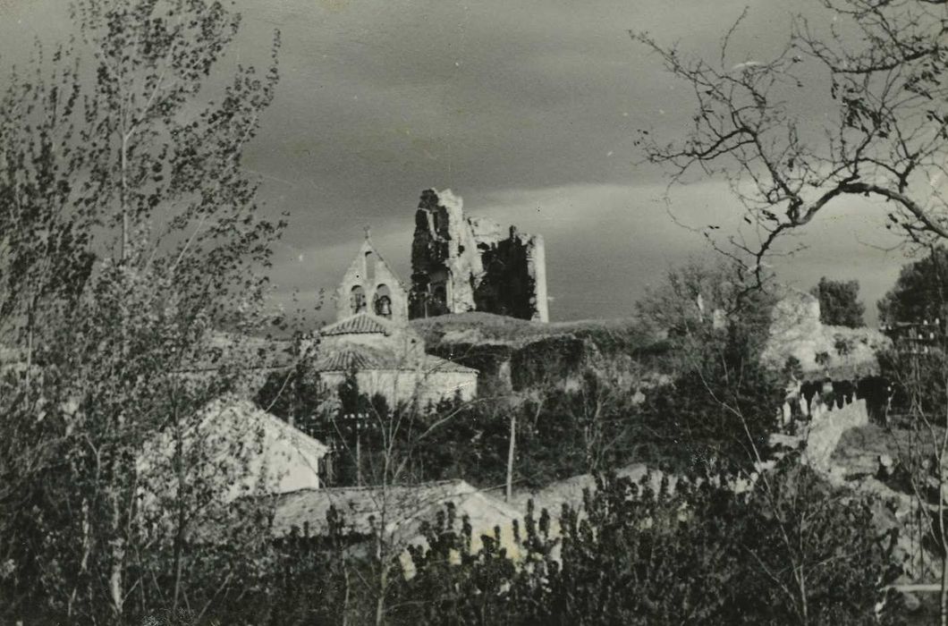 Château (ruines du) : Vue générale des ruines dans leur environnement