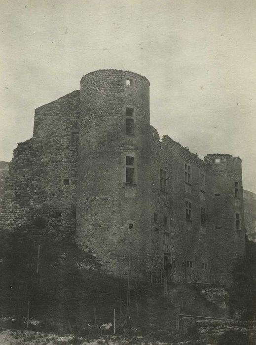 Château (restes) : Vue générale des ruines